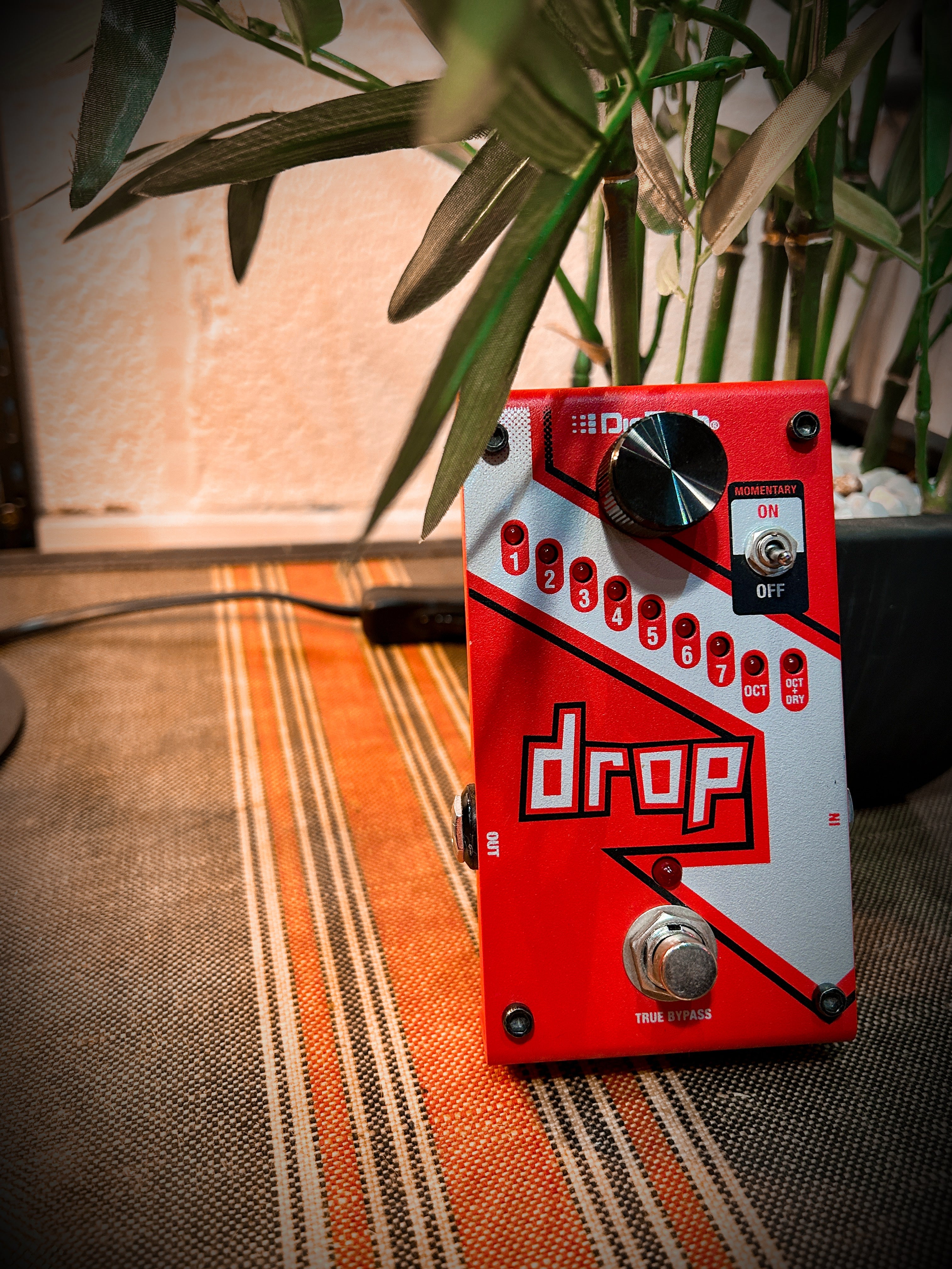 DigiTech Drop Polyphonic Drop Tune Effects Pedal