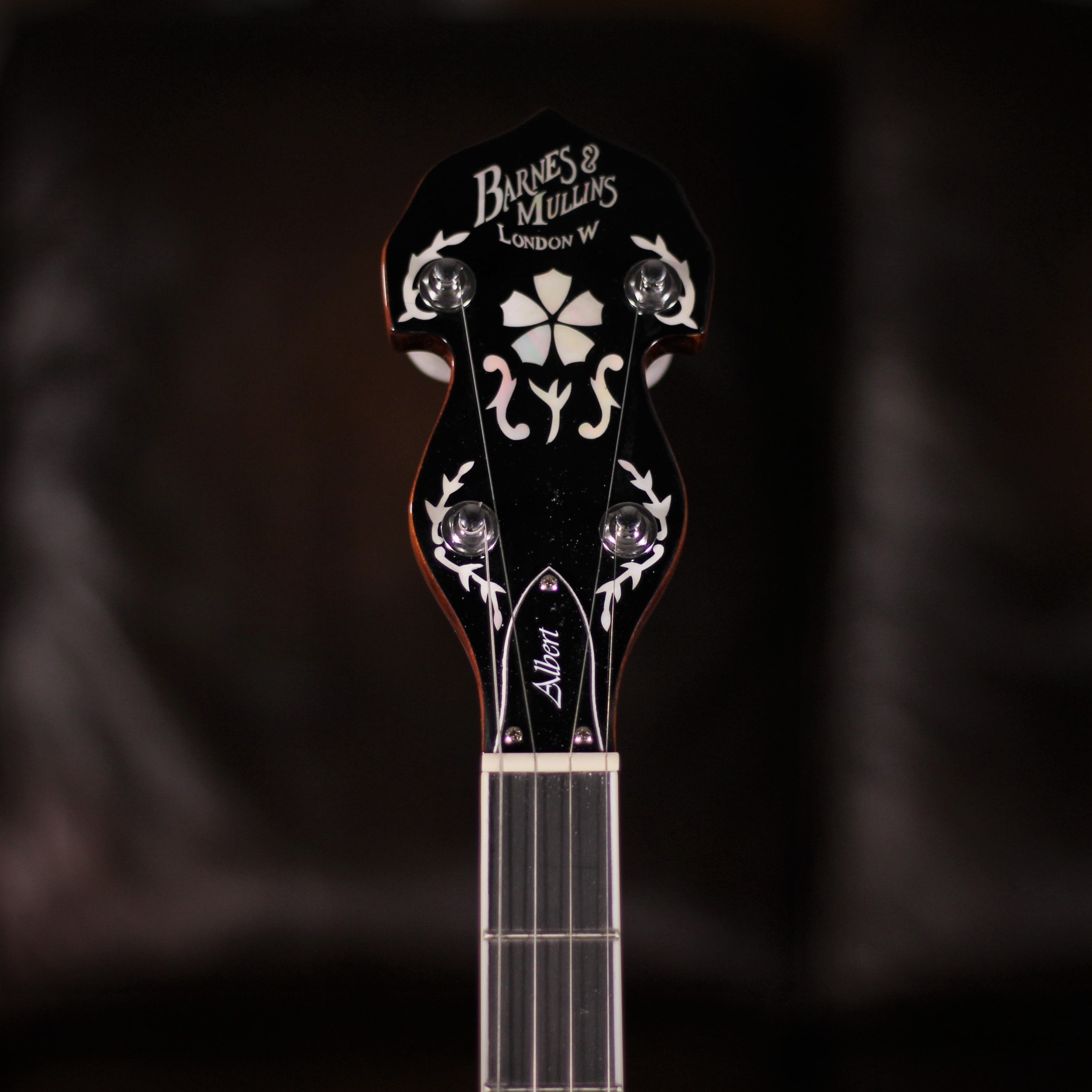 barnes & mullins albert 5 string banjo headstock