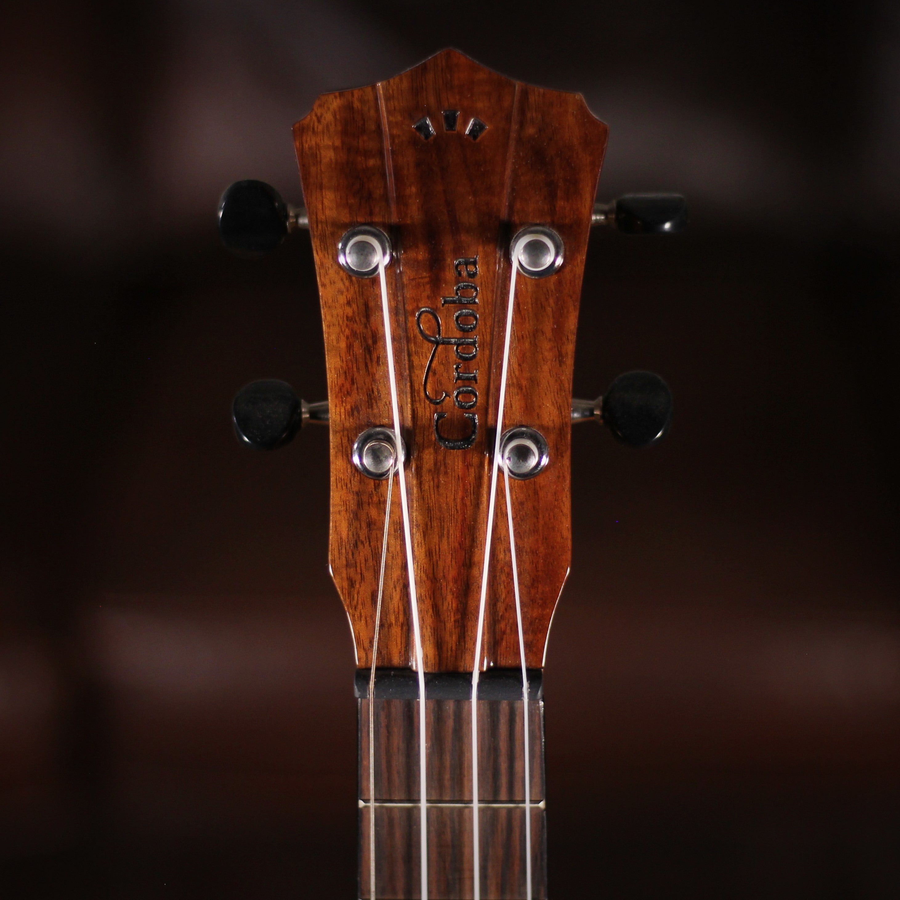 Cordoba 30T Tenor Ukulele headstock