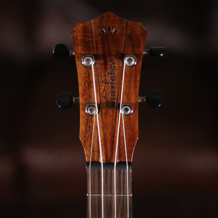 Cordoba 30T Tenor Ukulele headstock