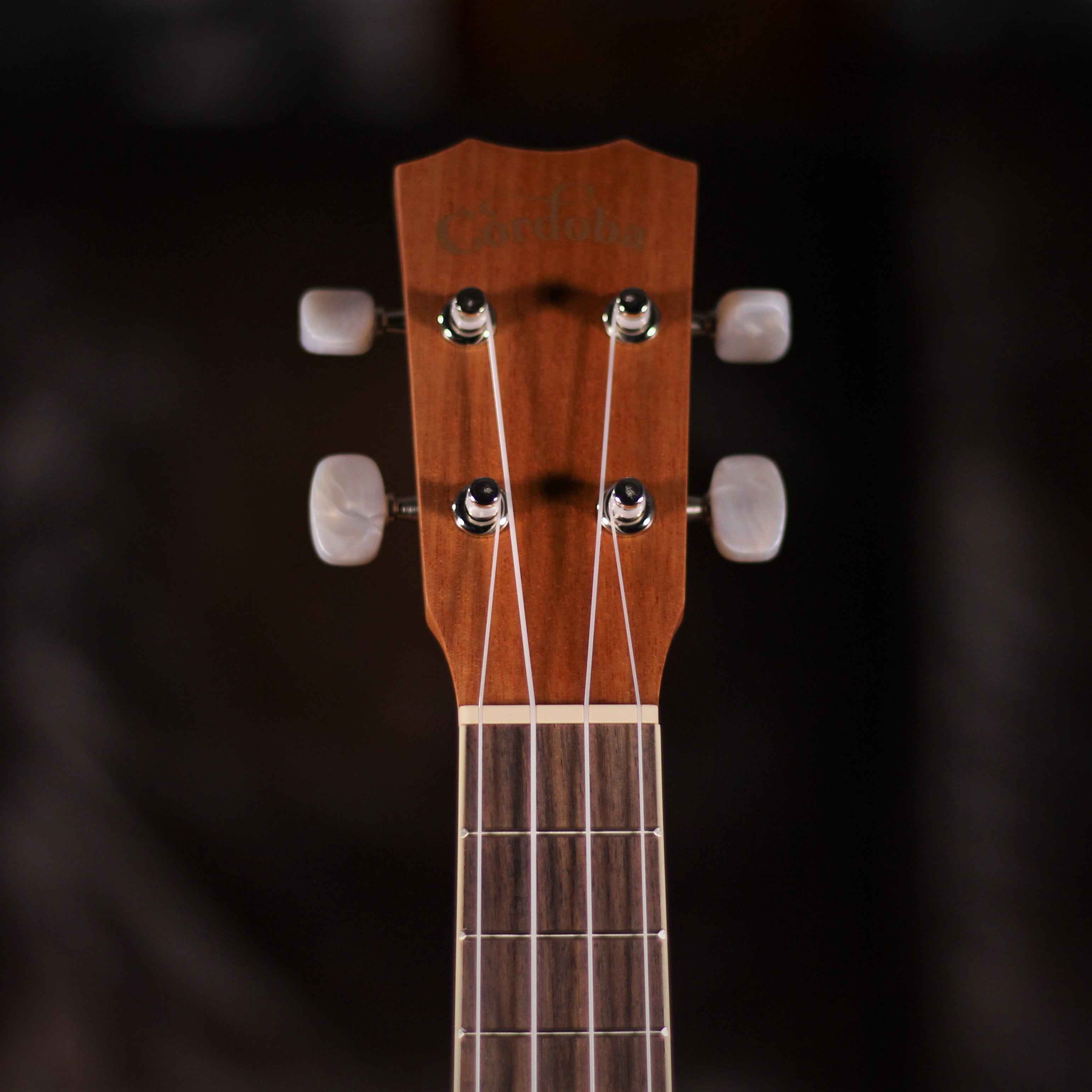 Cordoba 15SM Soprano Ukulele headstock