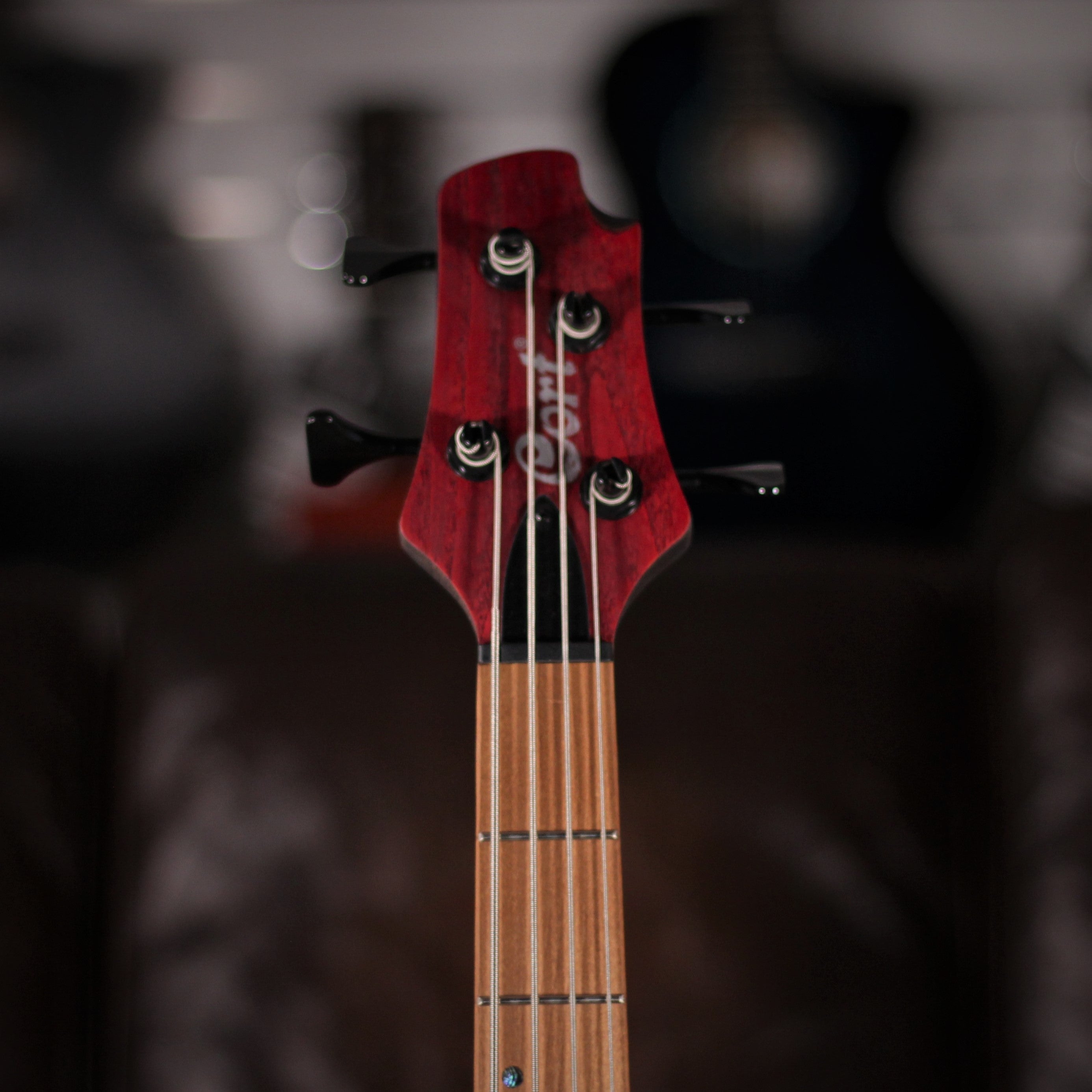 Cort B4 Element Open Pore Burgundy Red headstock