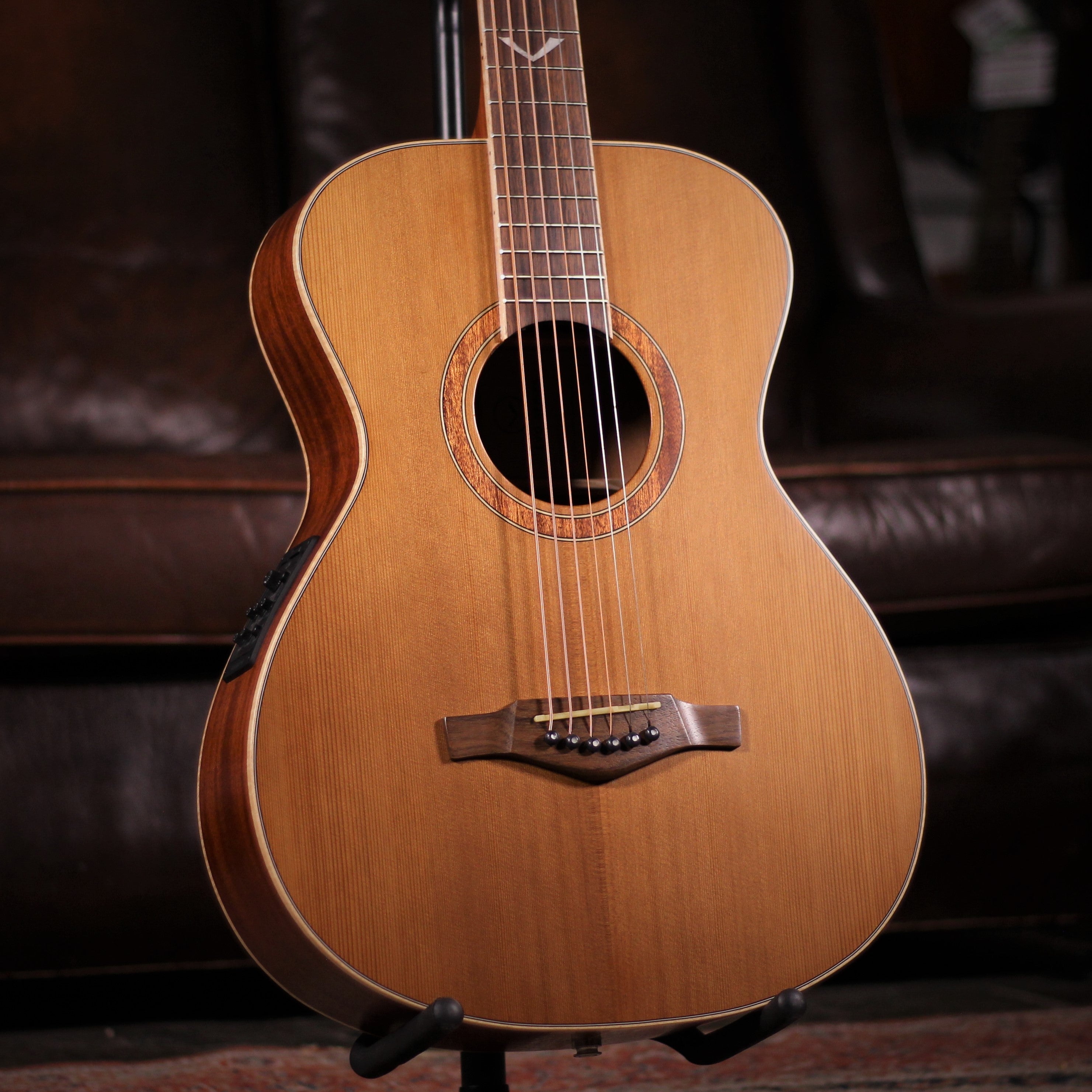 Eko Evo A350e Baritone angled