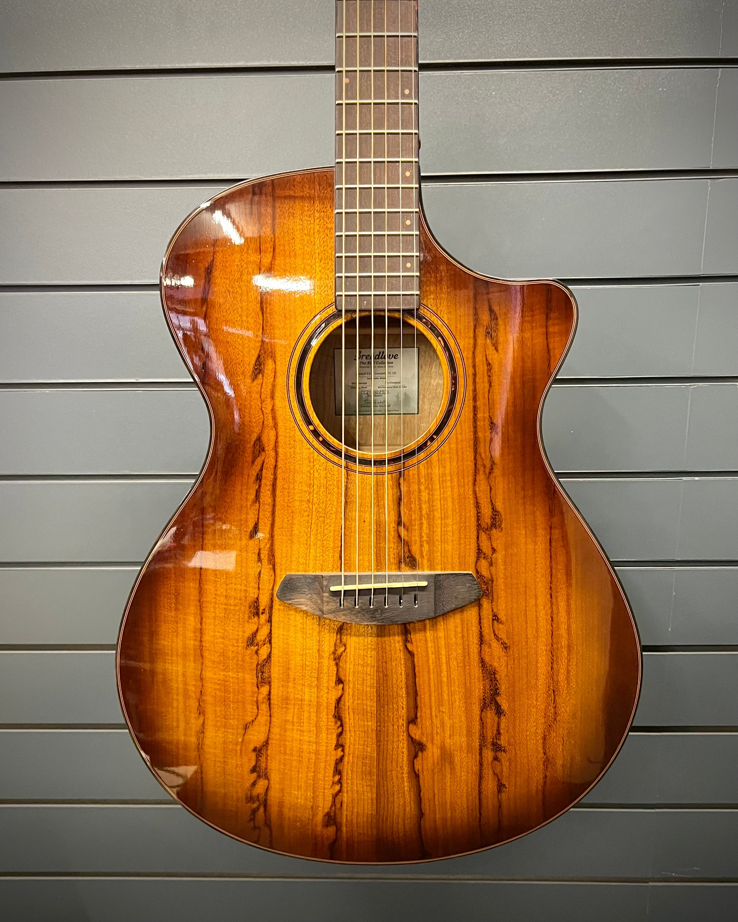 Breedlove Acoustic - Pursuit EX S Concerto TE CE - Myrtlewood