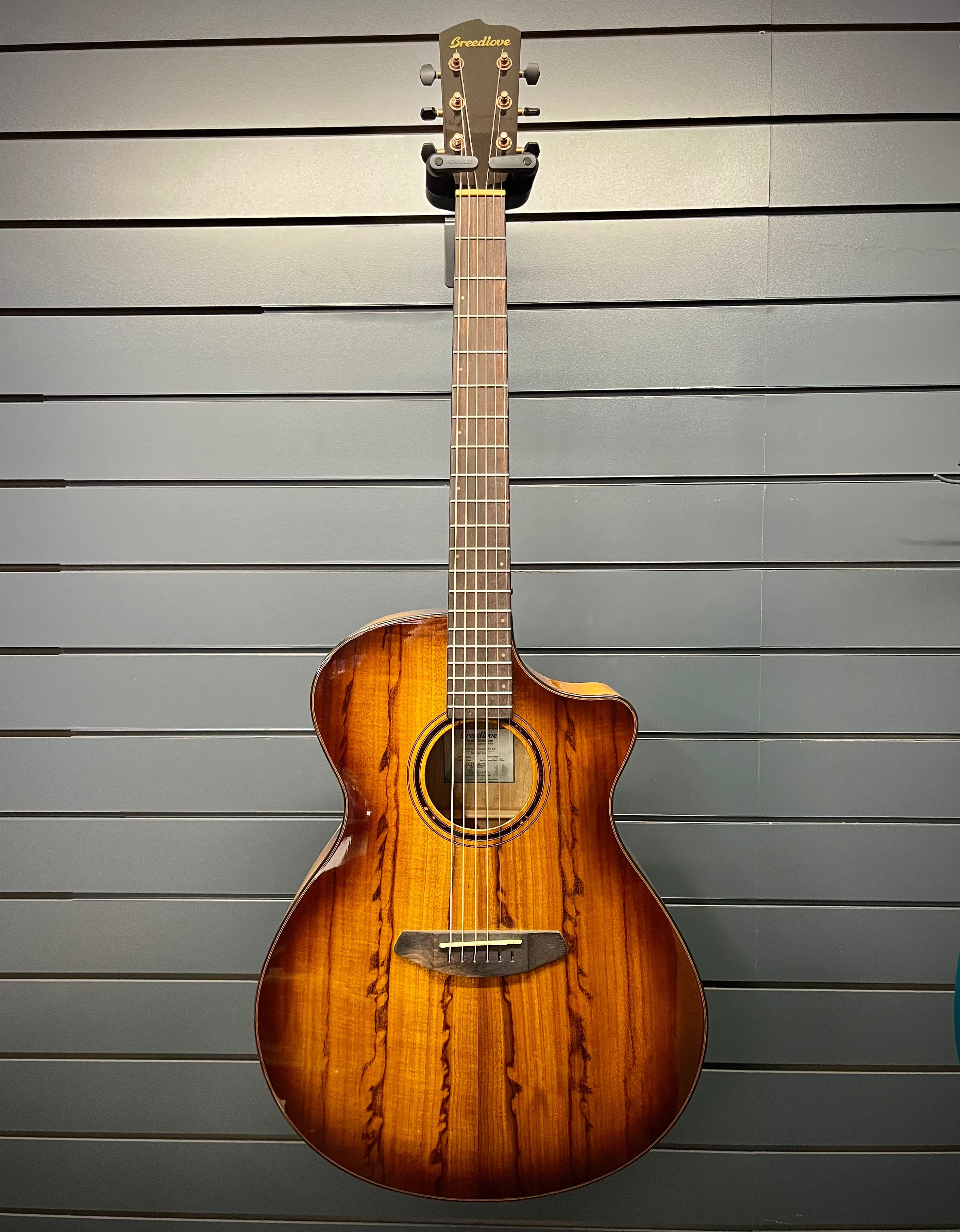 Breedlove Acoustic - Pursuit EX S Concerto TE CE - Myrtlewood