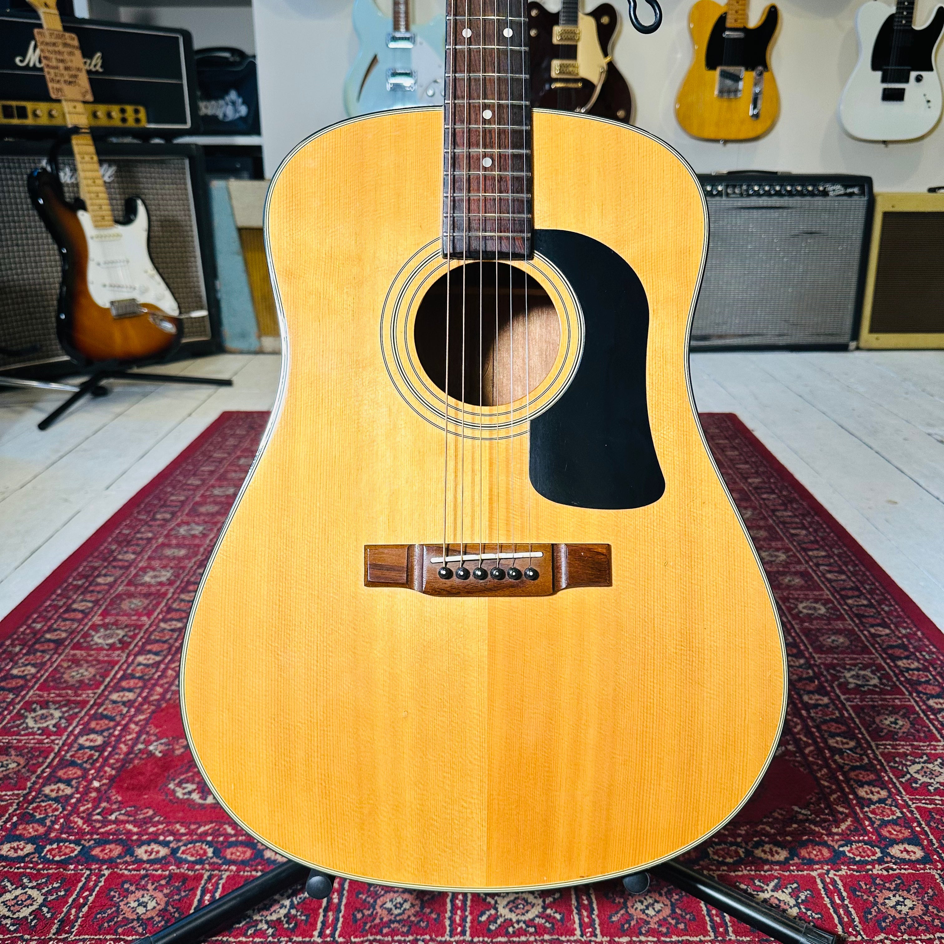 Washburn Dreadnought Acoustic Guitar - Preowned