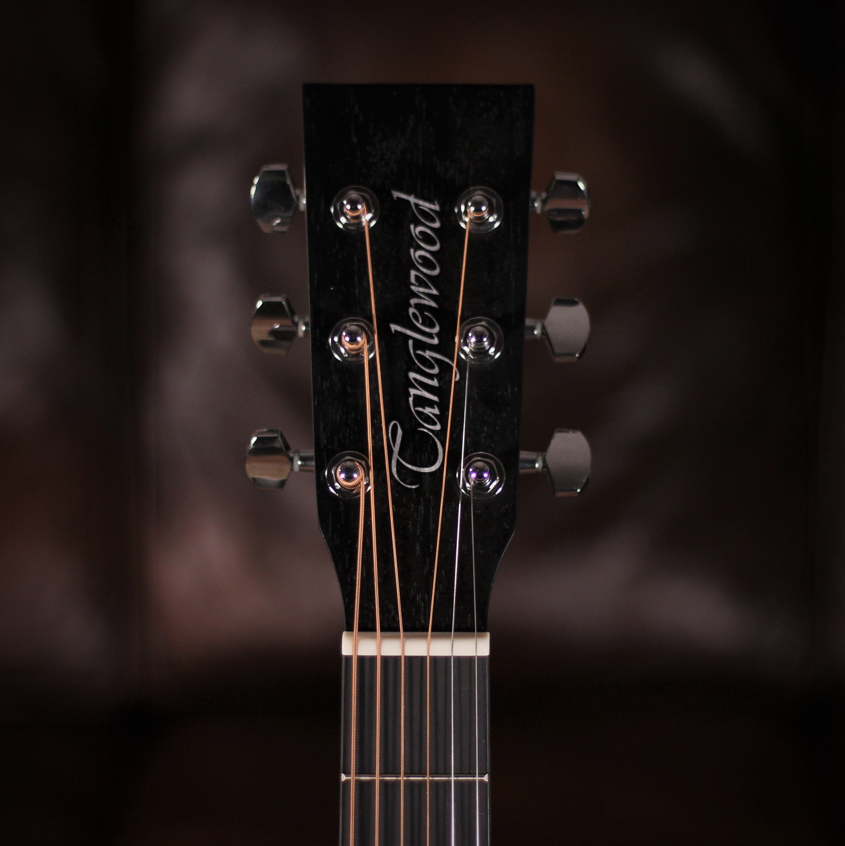 Tanglewood Blackbird TWBB SDE headstock