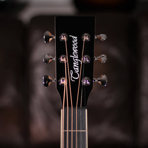 Tanglewood TSP15 SD HB headstock