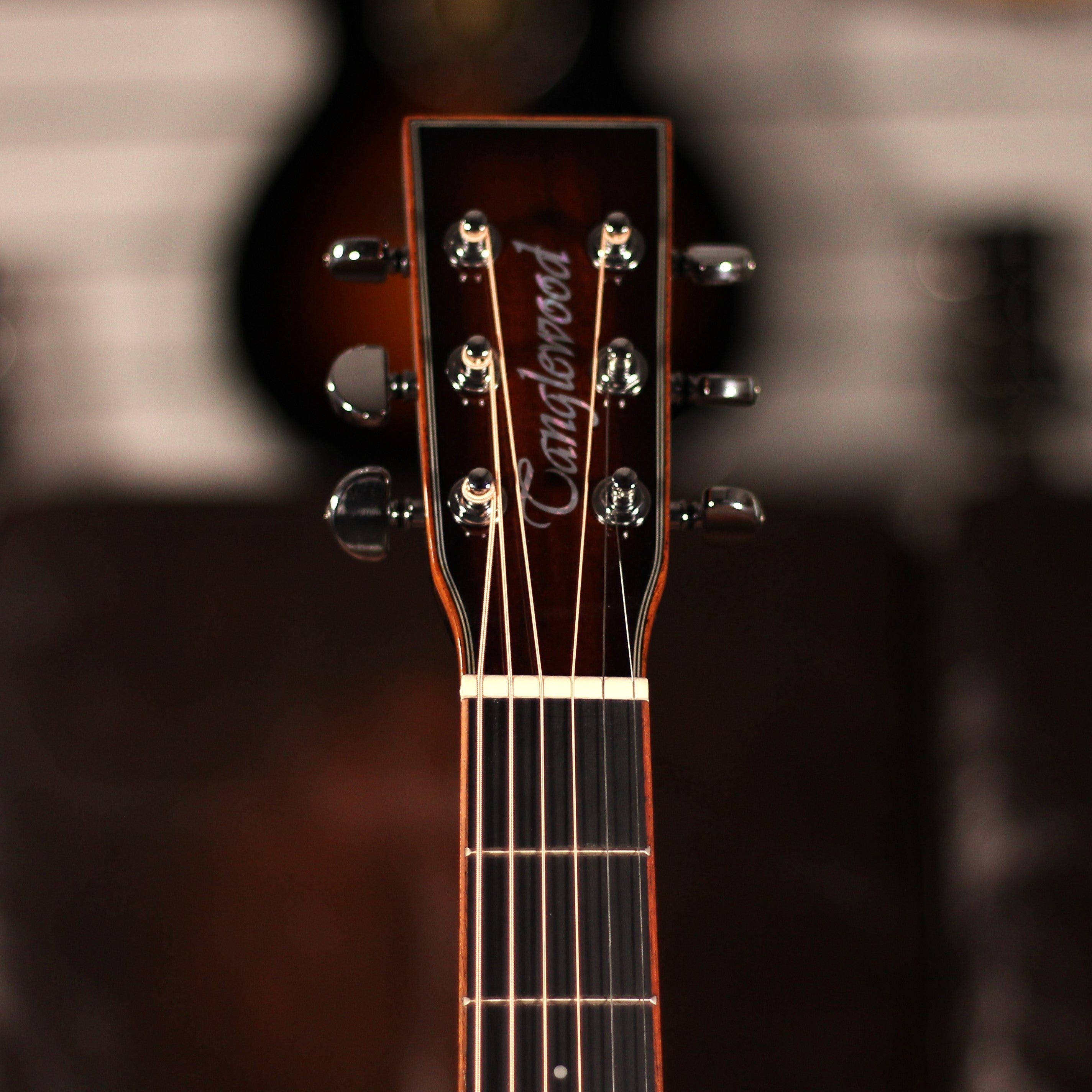 Tanglewood TW4 KOA