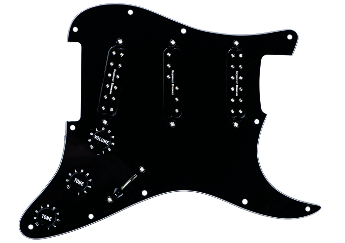 ^PICKGUARD ASSY EVERYTHING AXE BLACK